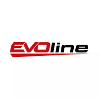 Двигатель бензиновый EVOline GB 750 B EFI